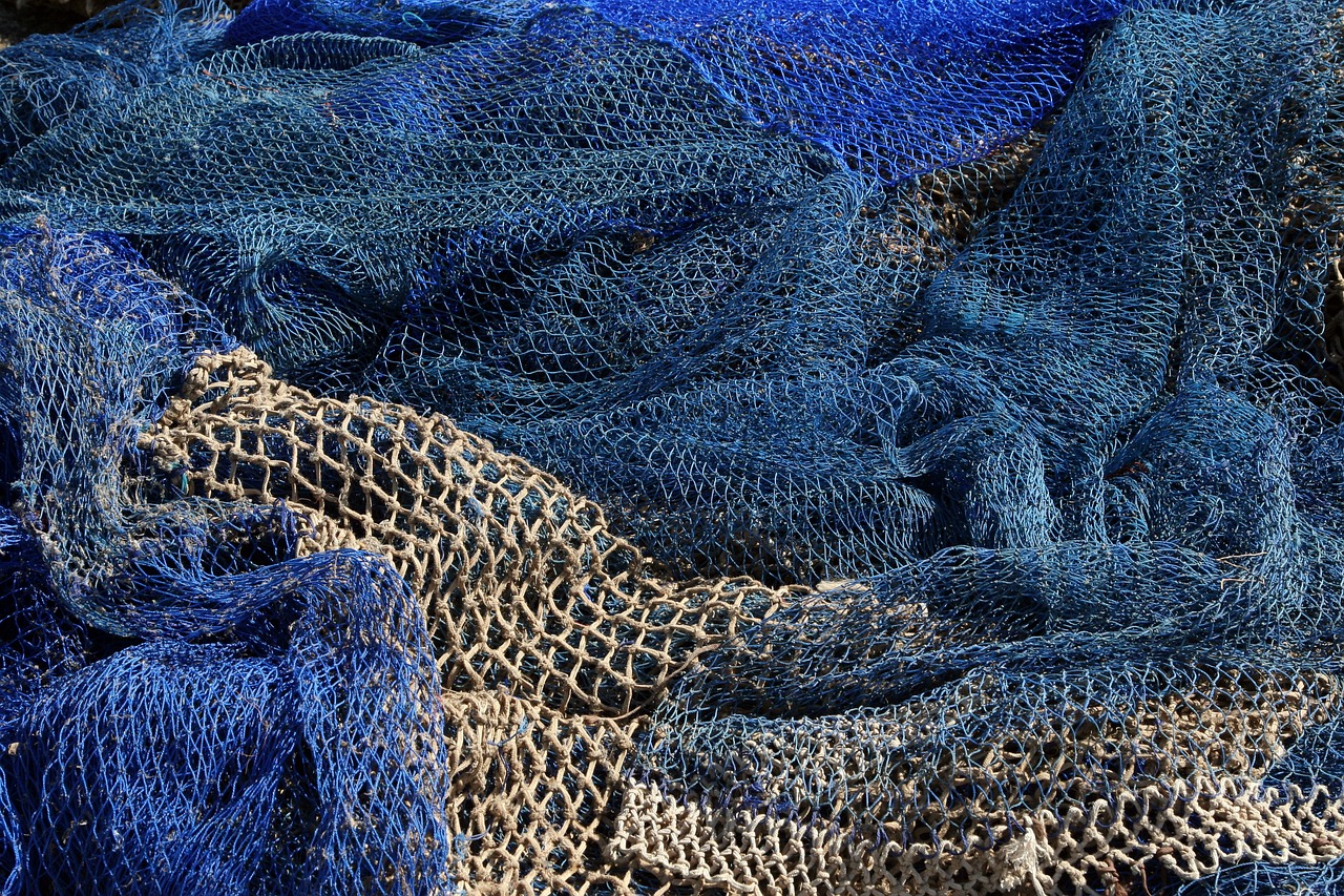 Nachhaltige Fischerei: Die Zukunft der Meeresressourcen sichern